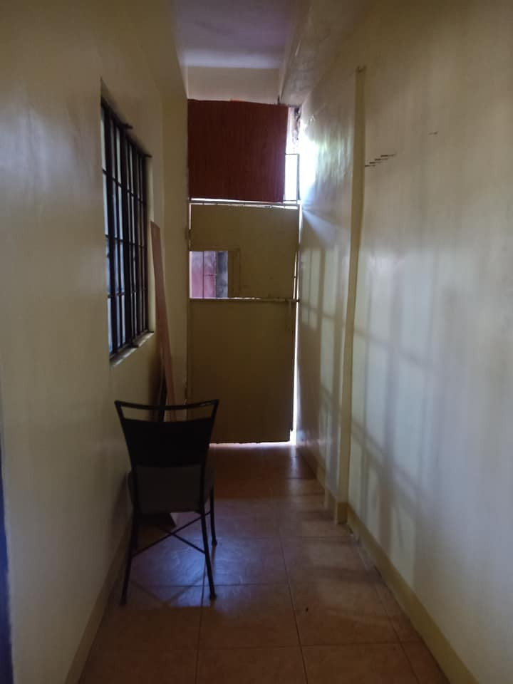 Gallery 5