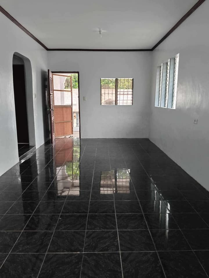 Gallery 5