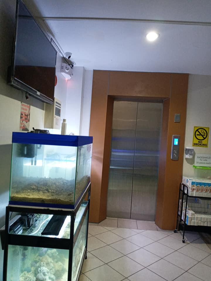Gallery 2