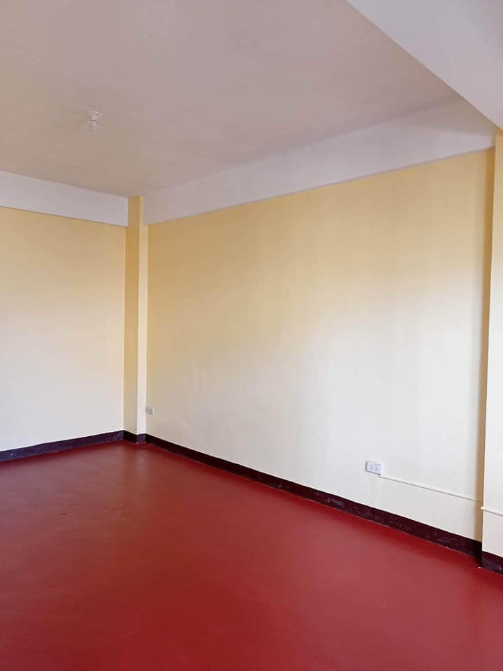 Gallery 5