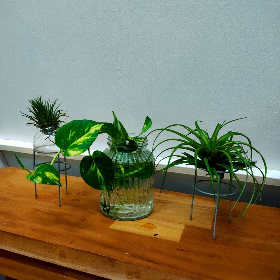 Gallery 4