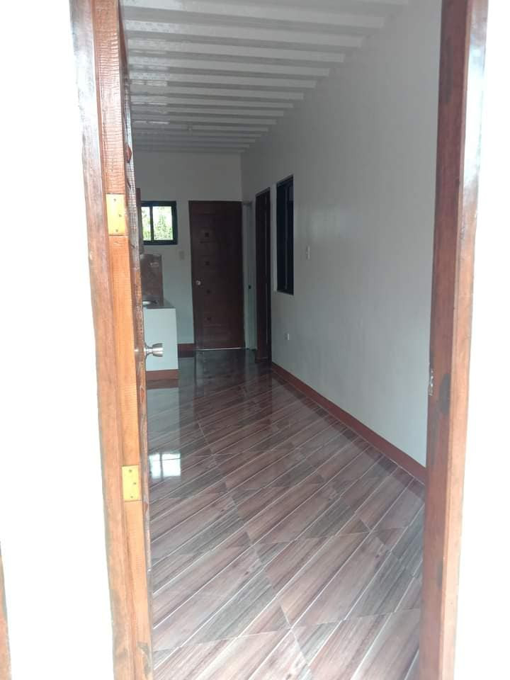 Gallery 5