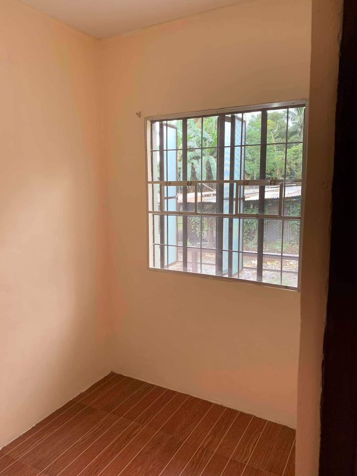Gallery 5