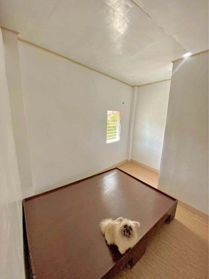 Gallery 3