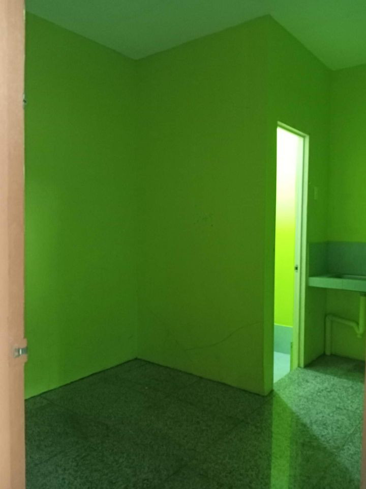 Gallery 4