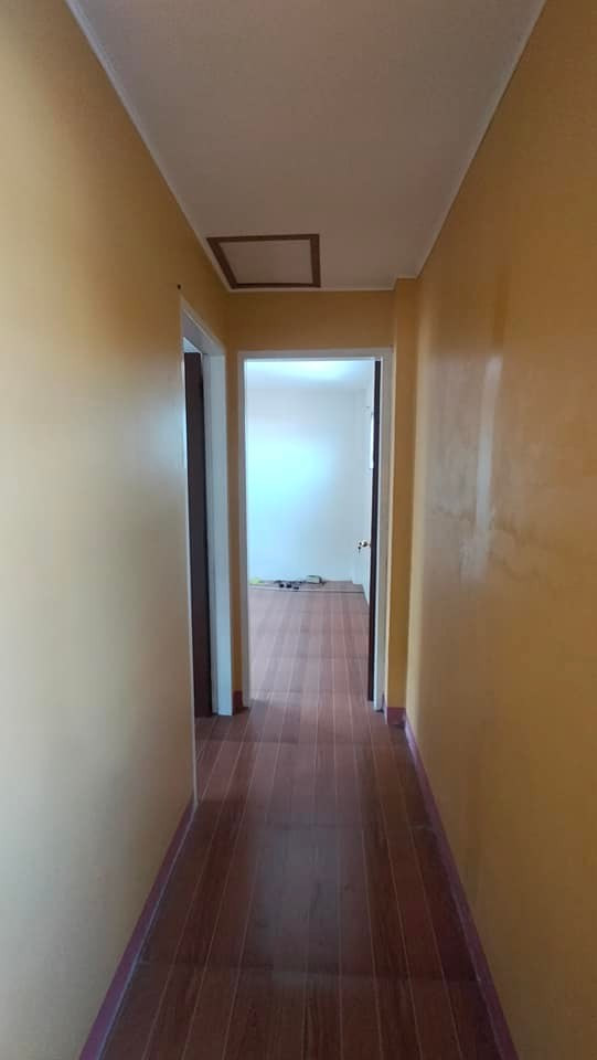 Gallery 5