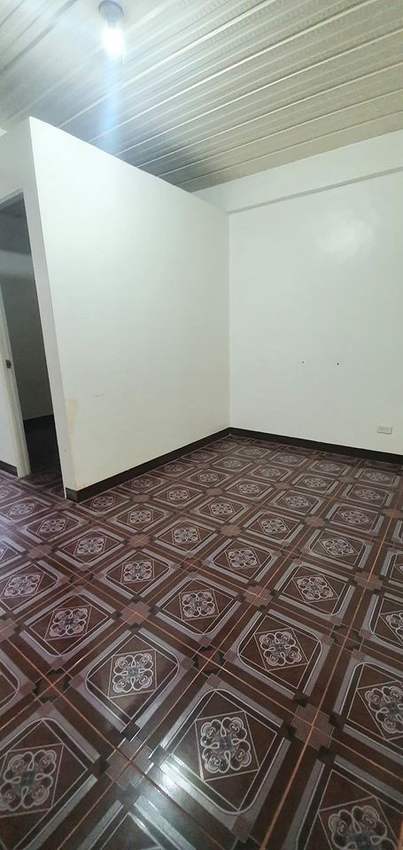 Gallery 4