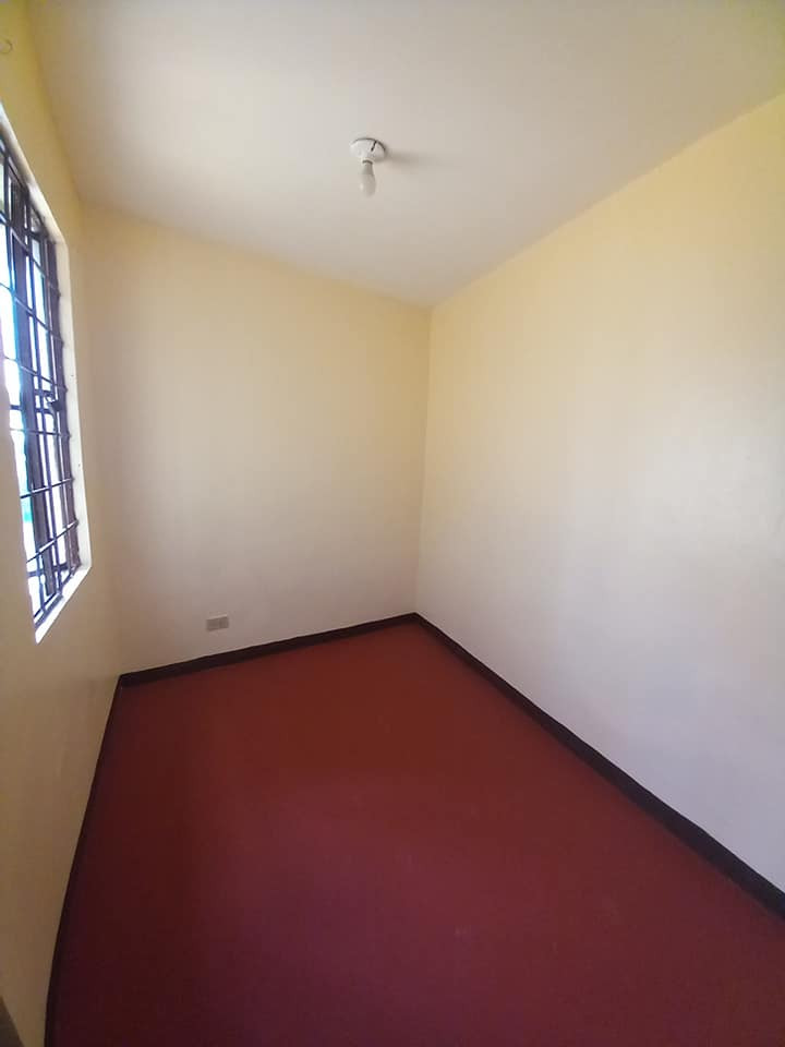 Gallery 5