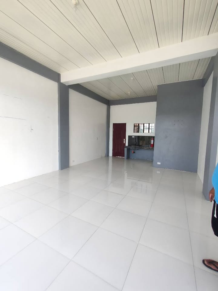 Gallery 4