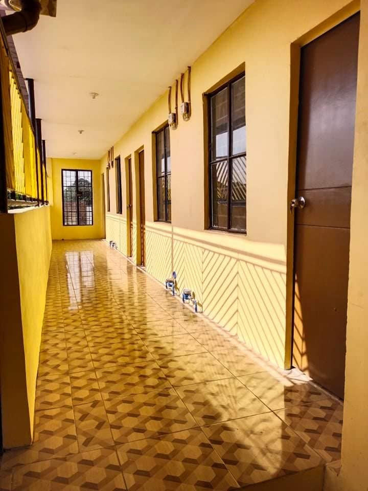Gallery 4