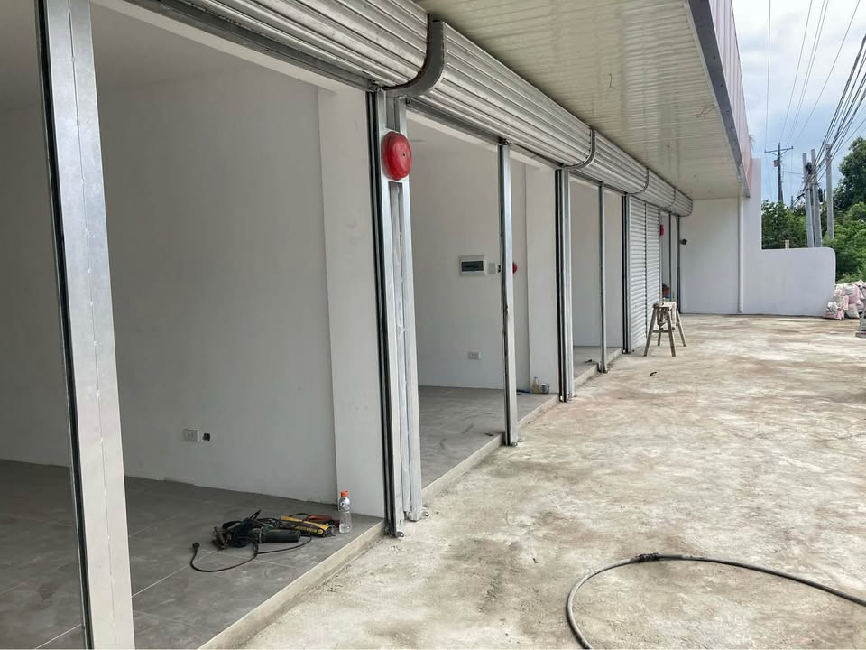 Gallery 3