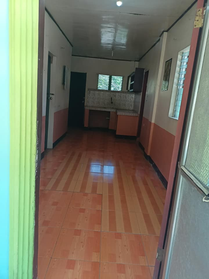 Gallery 5