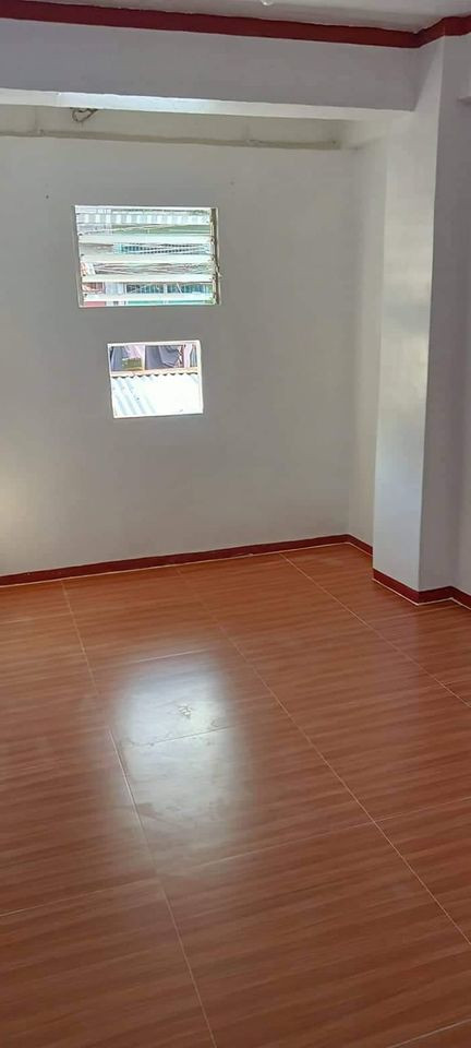 Gallery 5
