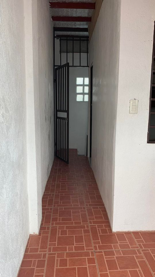 Gallery 4