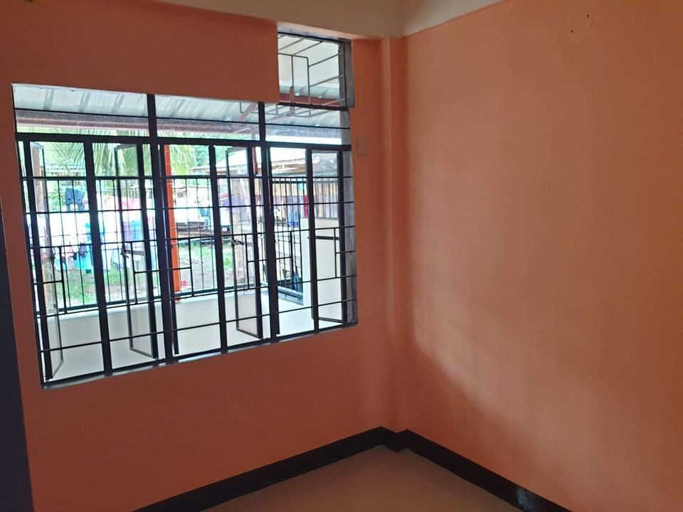 Gallery 3