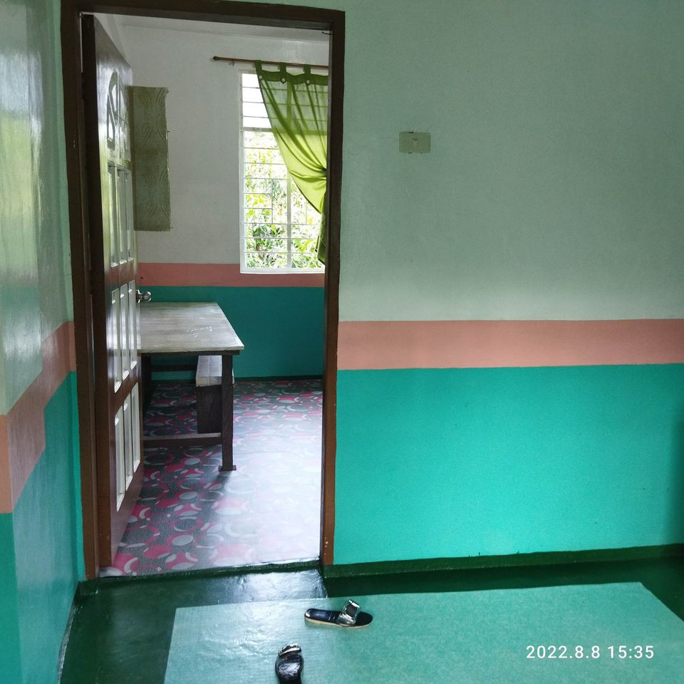 Gallery 4