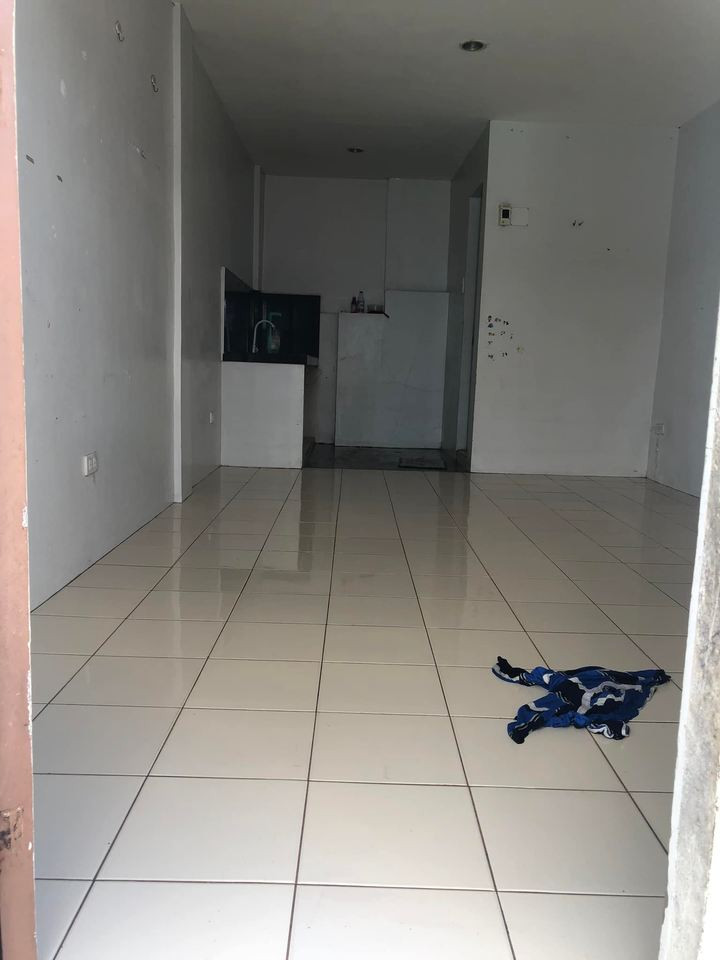 Gallery 2