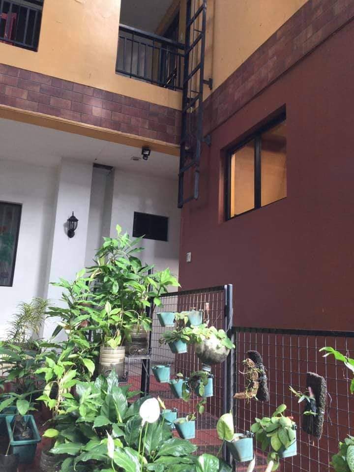 Gallery 5