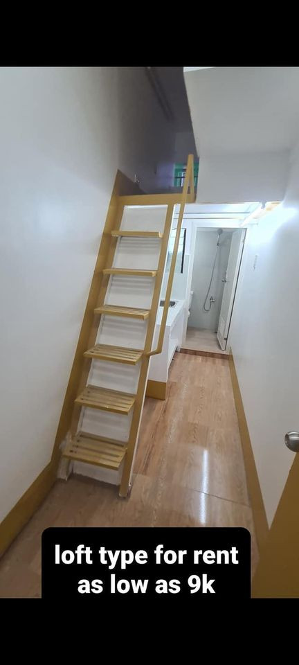 Gallery 2