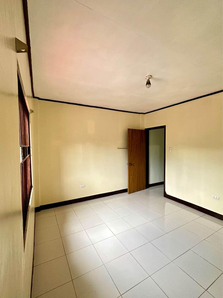 Gallery 5