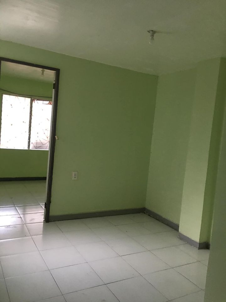 Gallery 5