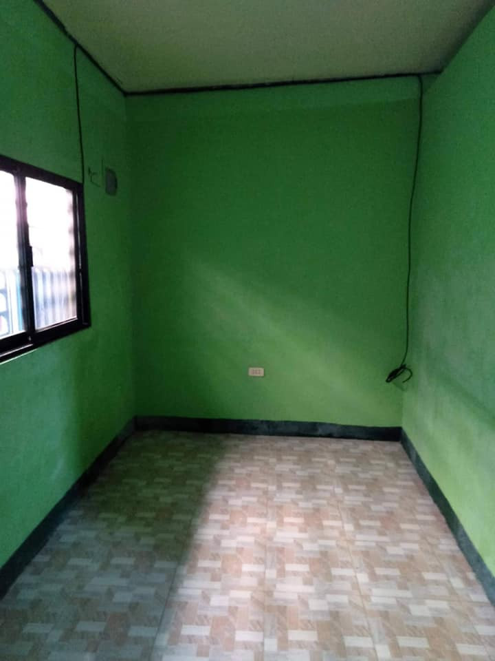 Gallery 5
