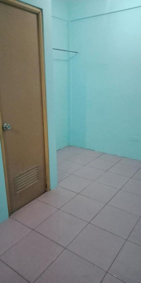 Gallery 3