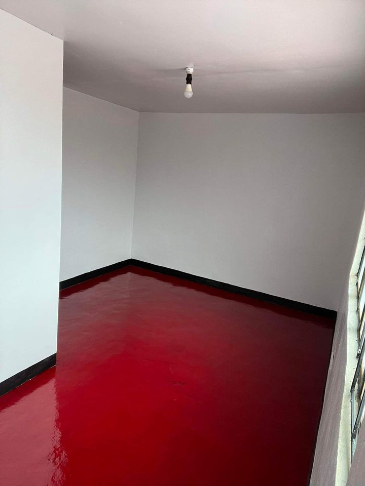 Gallery 5