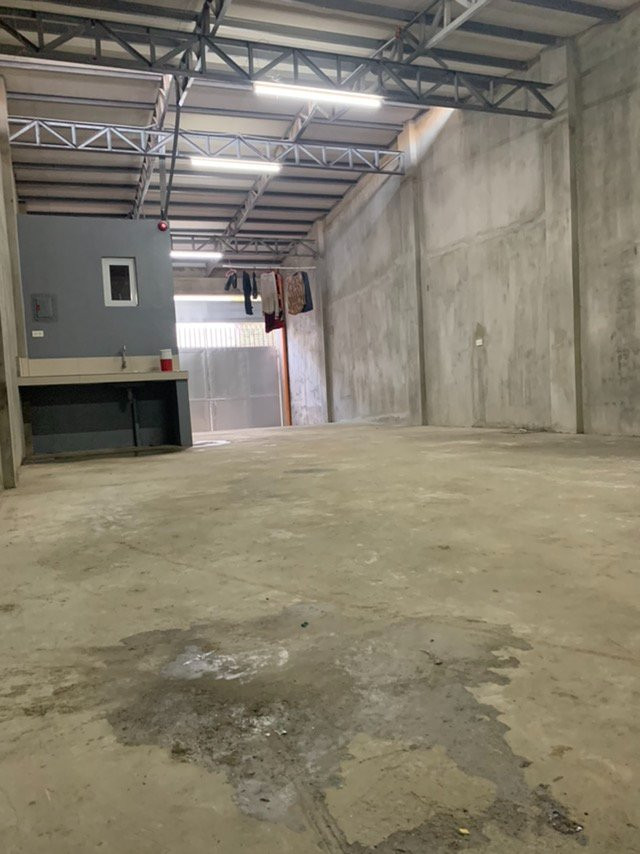 Gallery 2