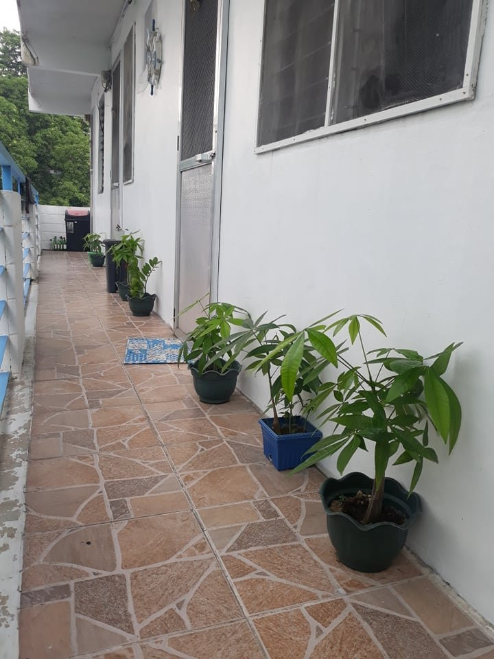 Gallery 2