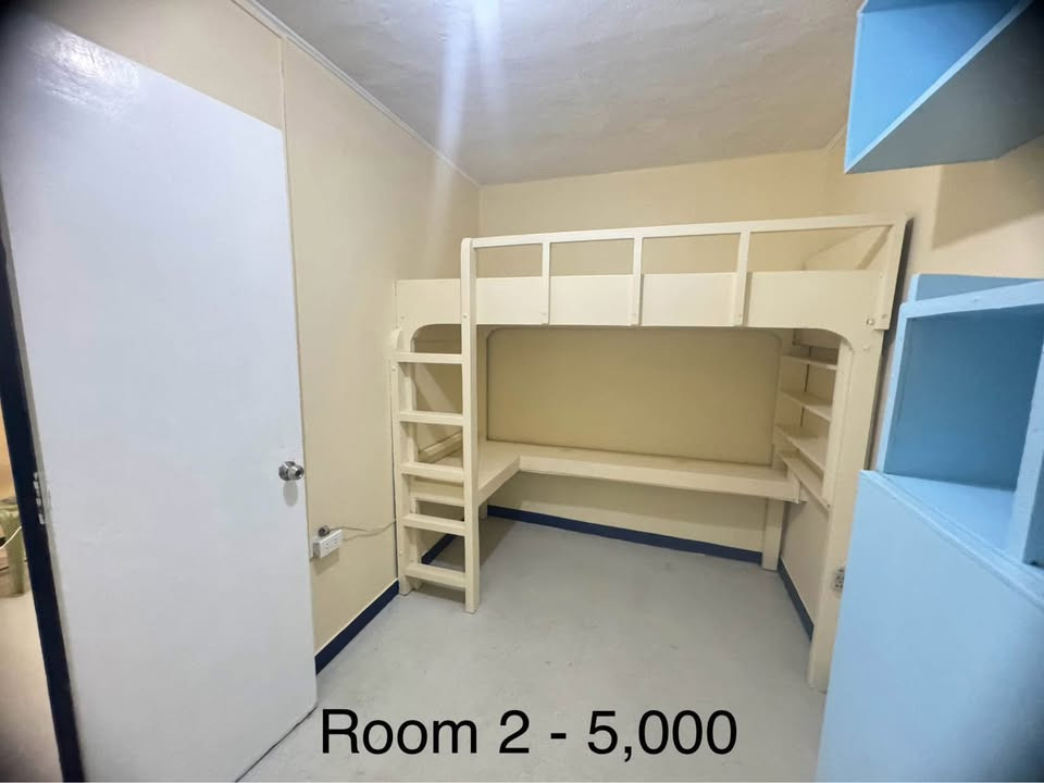 Gallery 2