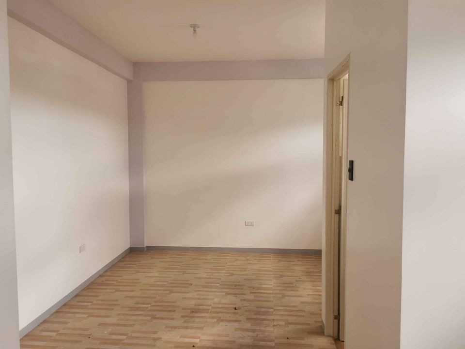 Gallery 5