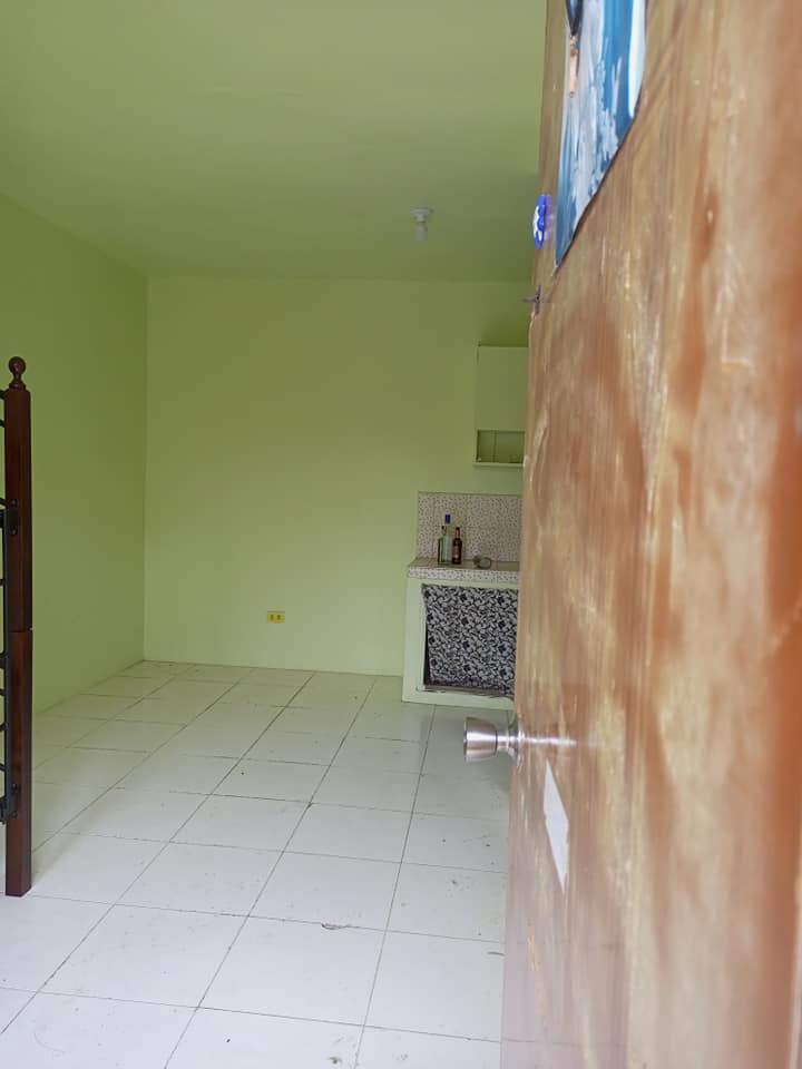 Gallery 3