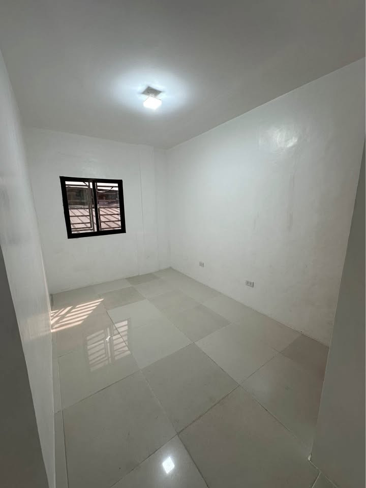 Gallery 3