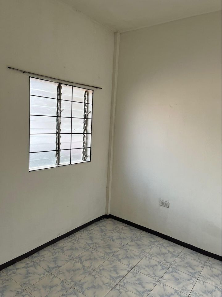 Gallery 4