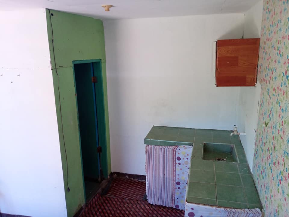 Gallery 5