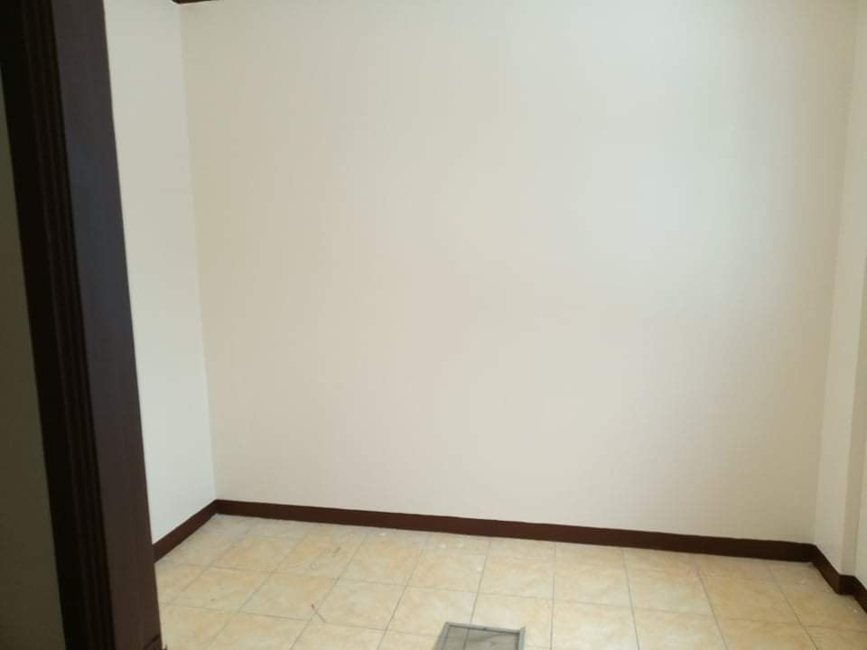 Gallery 5