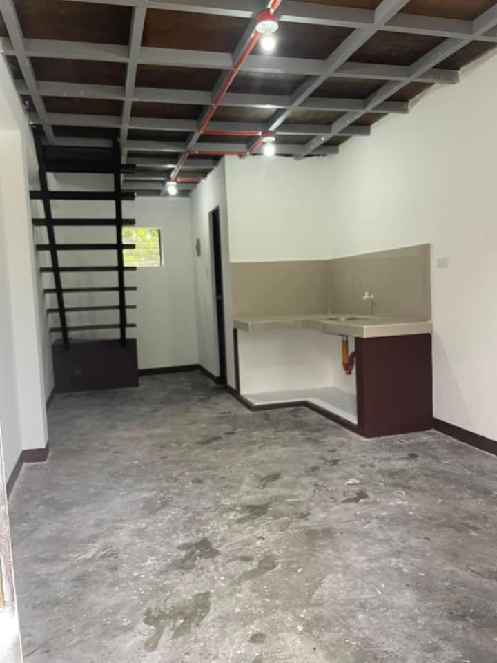 Gallery 3