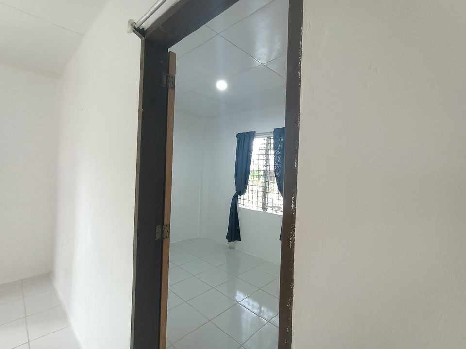 Gallery 5