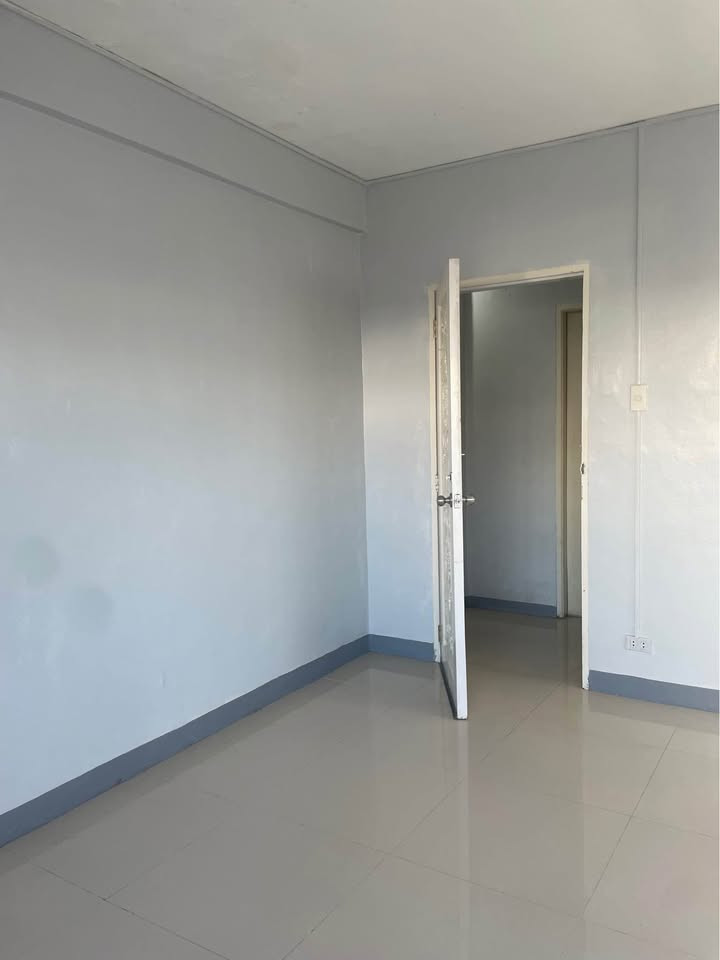 Gallery 5