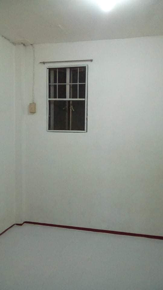 Gallery 3