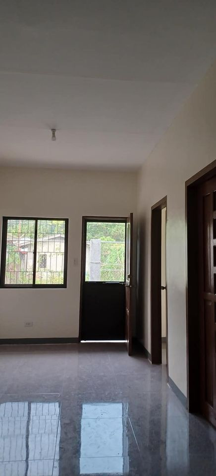Gallery 5