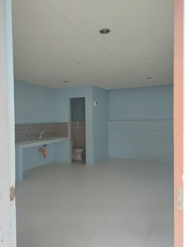 Gallery 5
