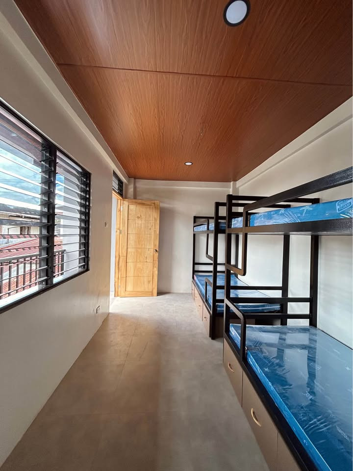 Gallery 3