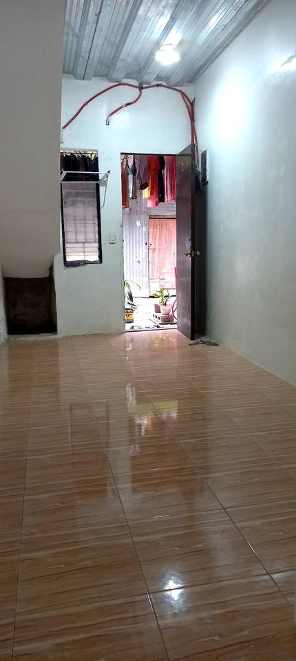 Gallery 5