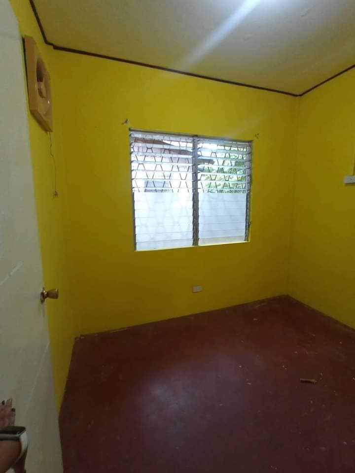 Gallery 5