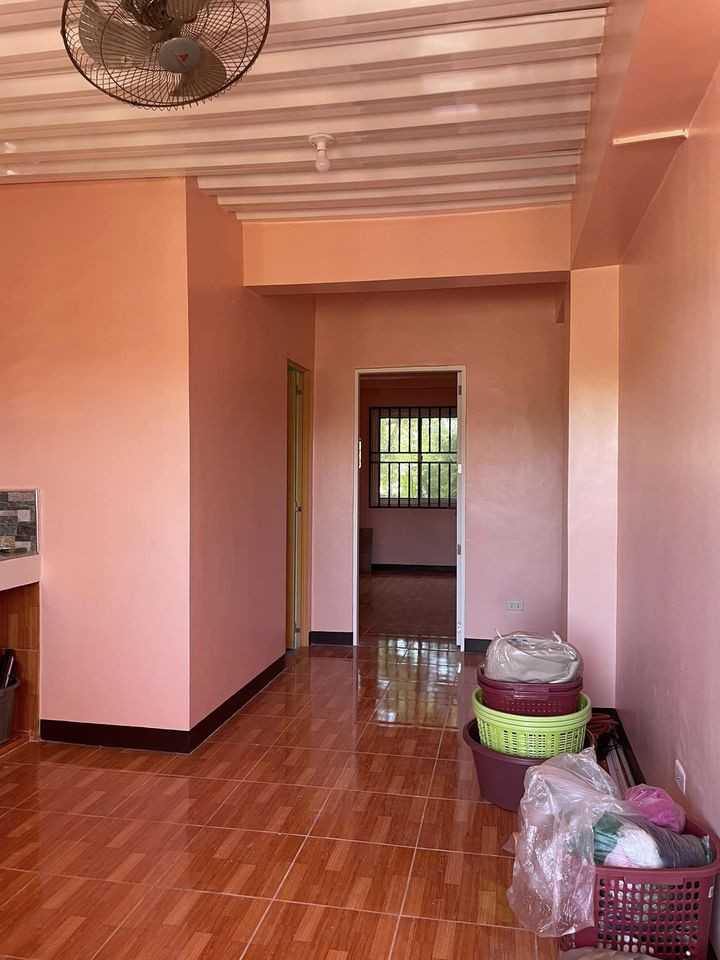 Gallery 4