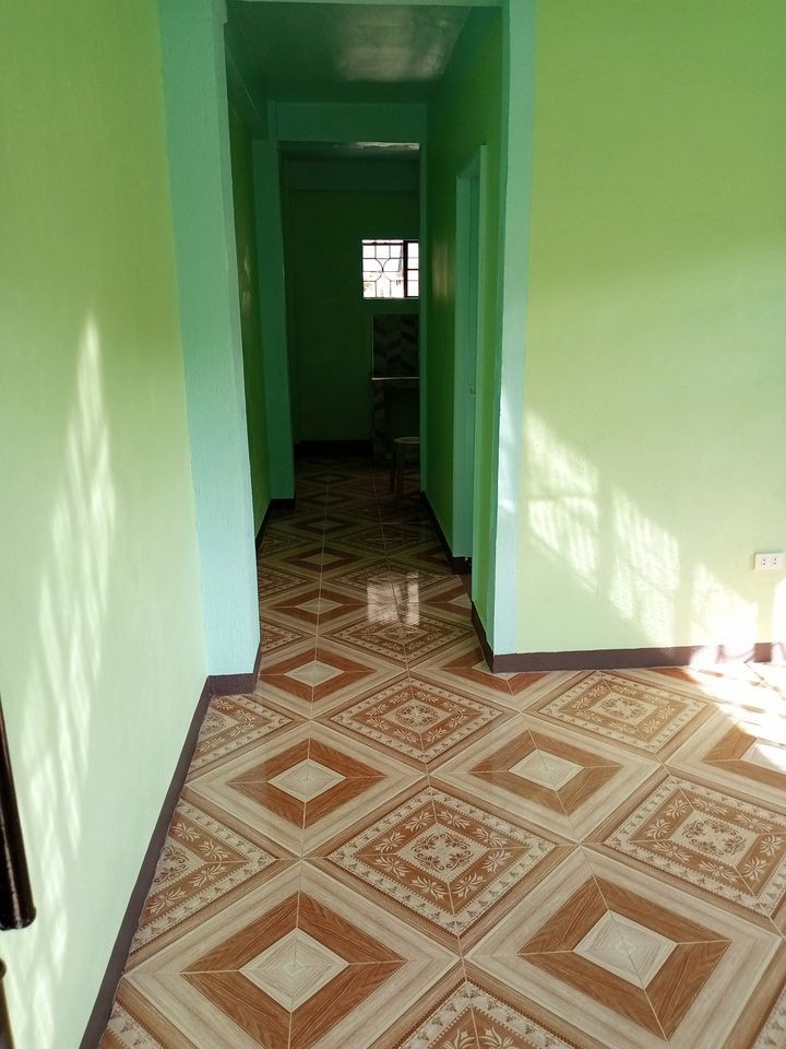 Gallery 5