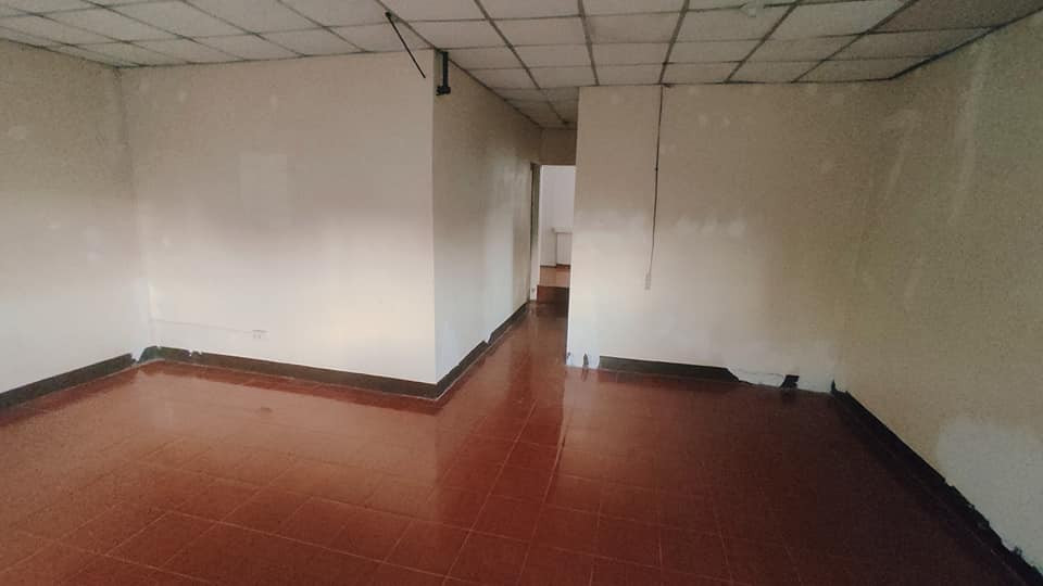 Gallery 4