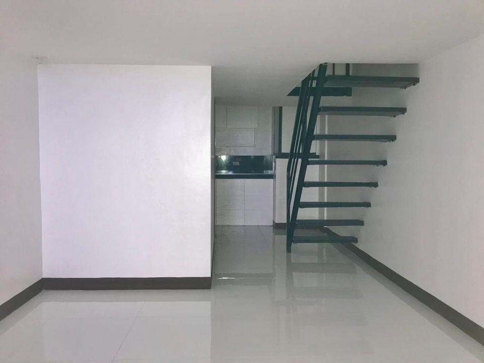 Gallery 3